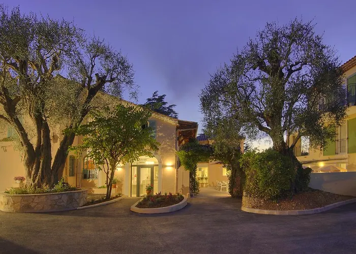 La Bastide De L'oliveraie מלון 4*